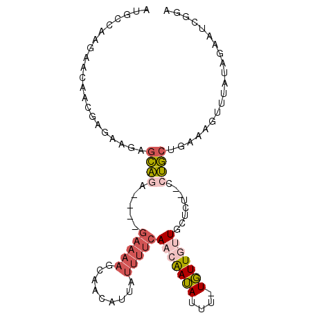 secondary structure