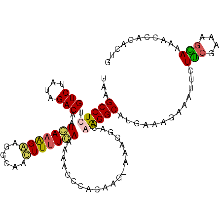 secondary structure