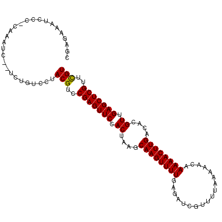 secondary structure