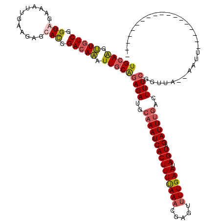 secondary structure