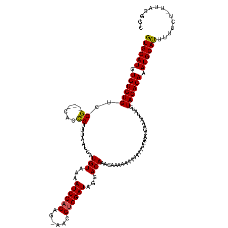 secondary structure