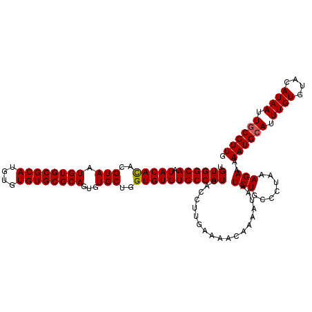 secondary structure