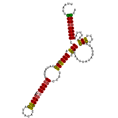 secondary structure