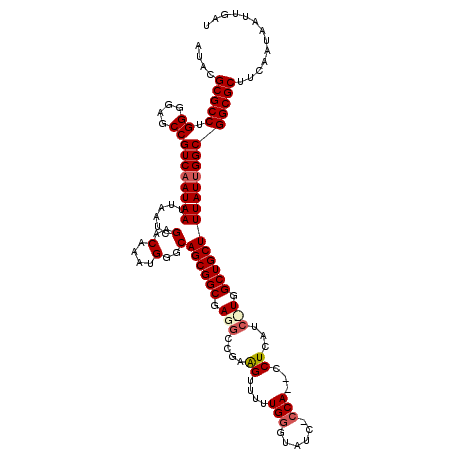 secondary structure