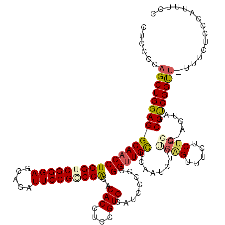 secondary structure
