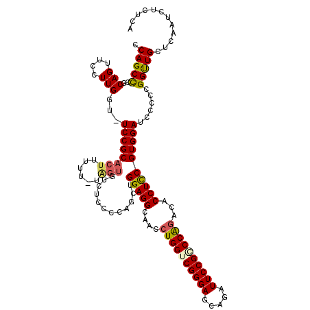 secondary structure
