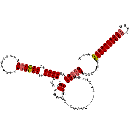 secondary structure