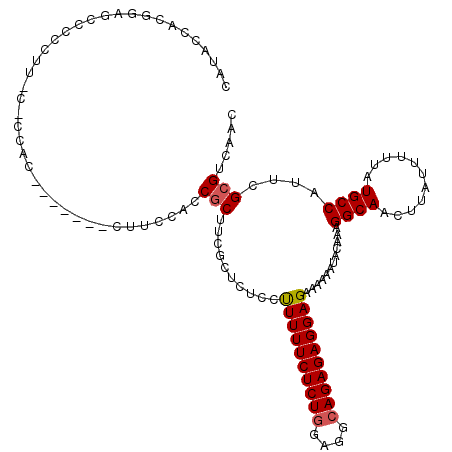 secondary structure