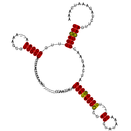secondary structure