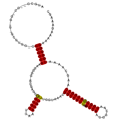 secondary structure