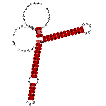 secondary structure