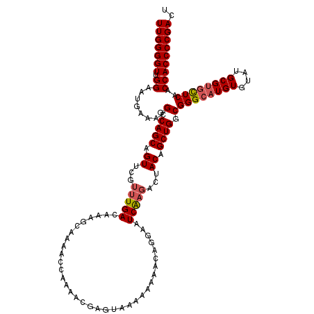 secondary structure