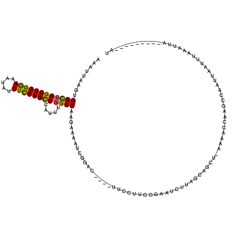 secondary structure