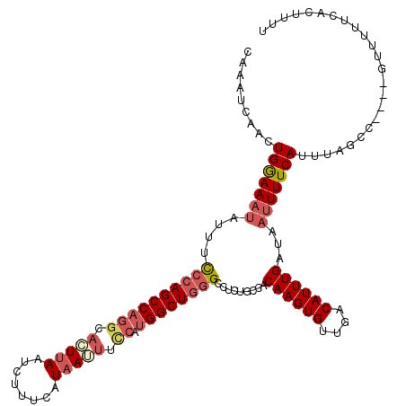 secondary structure