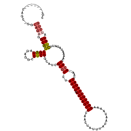 secondary structure