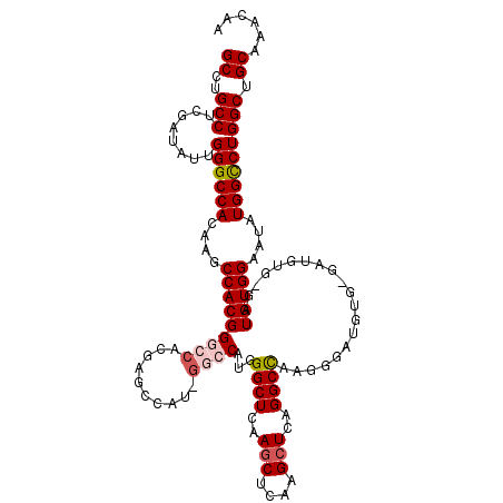 secondary structure