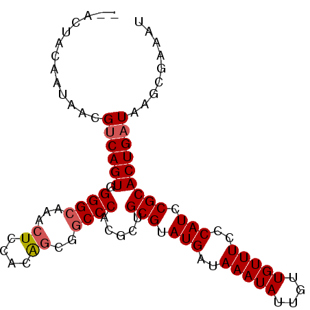 secondary structure