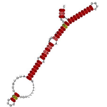 secondary structure