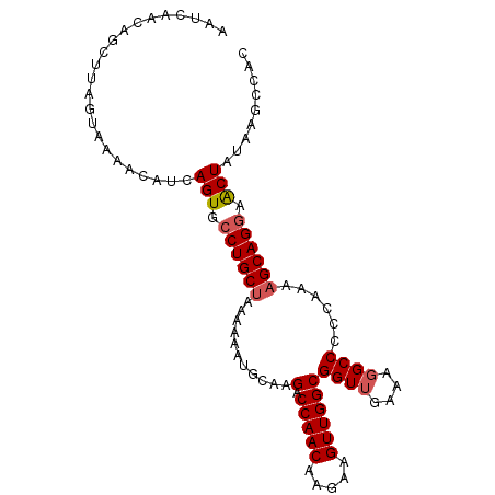 secondary structure