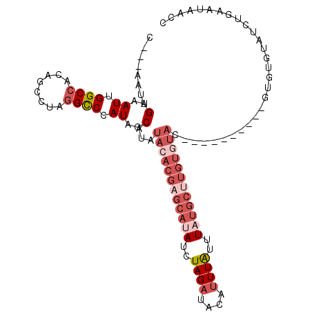 secondary structure
