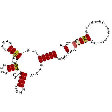secondary structure
