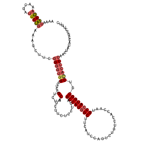 secondary structure