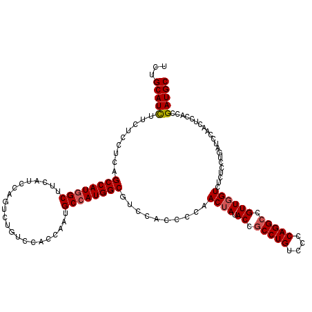 secondary structure