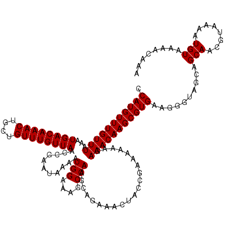 secondary structure