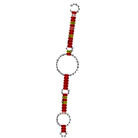 secondary structure