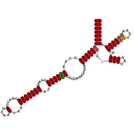 secondary structure
