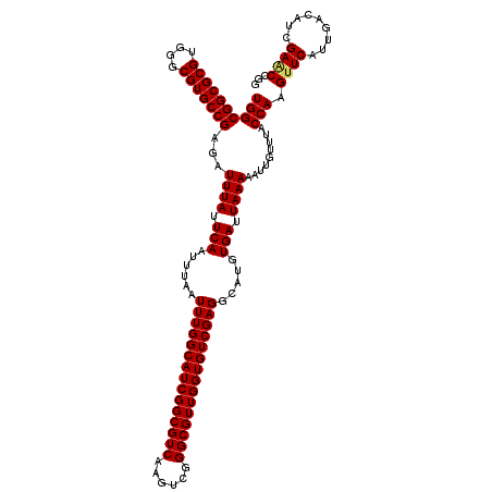 secondary structure