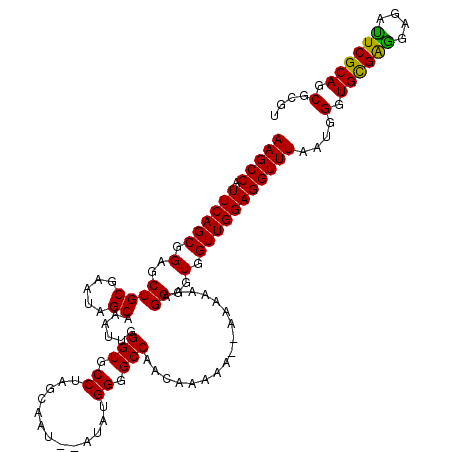 secondary structure