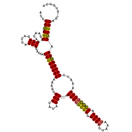 secondary structure