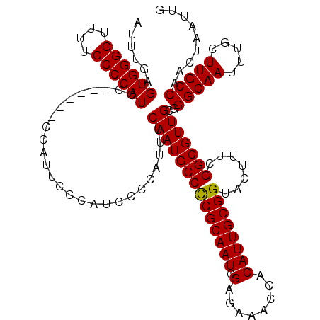 secondary structure