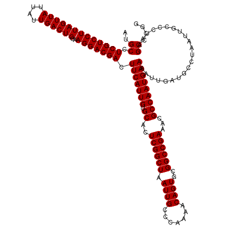secondary structure