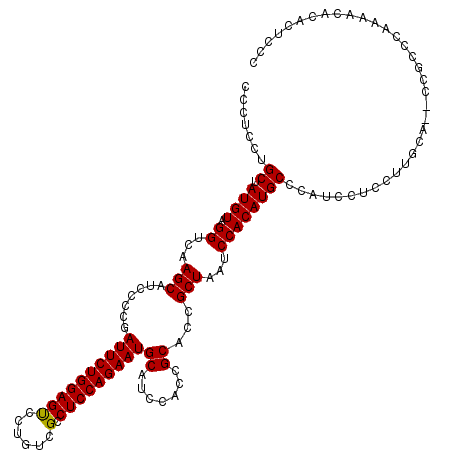 secondary structure