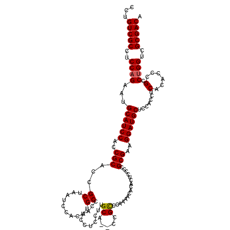 secondary structure