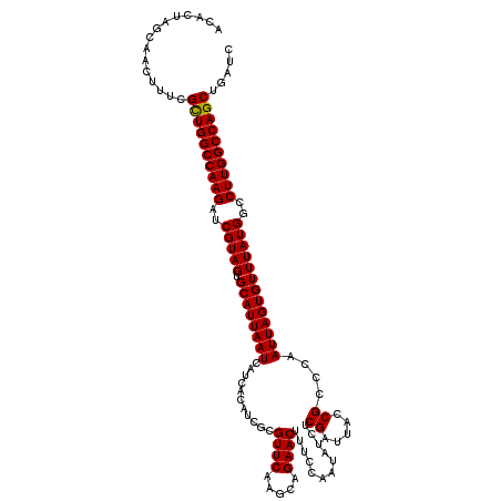 secondary structure