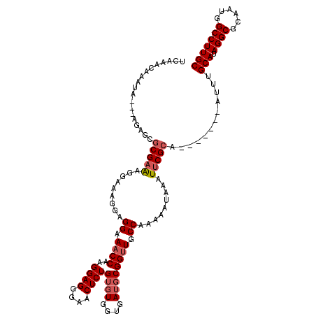 secondary structure