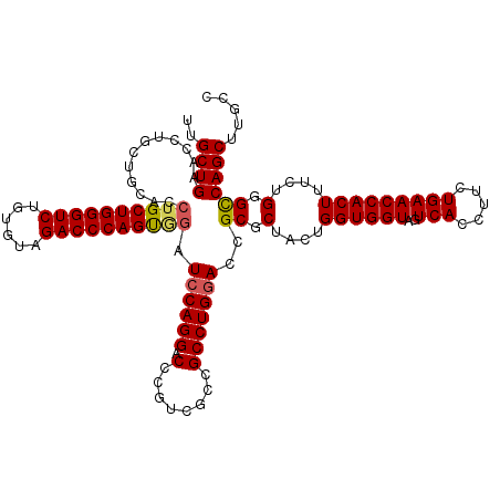secondary structure