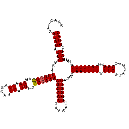 secondary structure