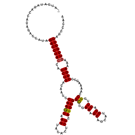 secondary structure