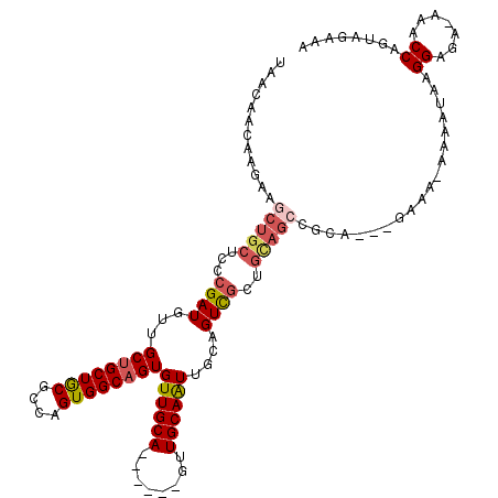 secondary structure