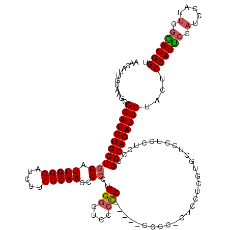 secondary structure
