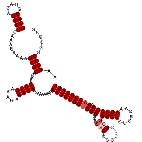 secondary structure