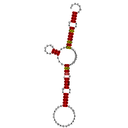 secondary structure
