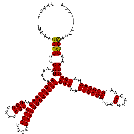 secondary structure