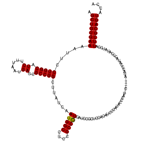 secondary structure