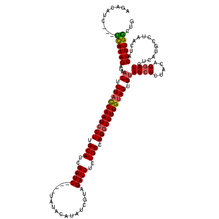 secondary structure