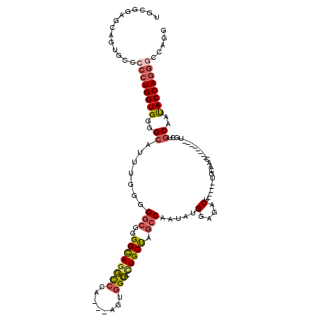 secondary structure